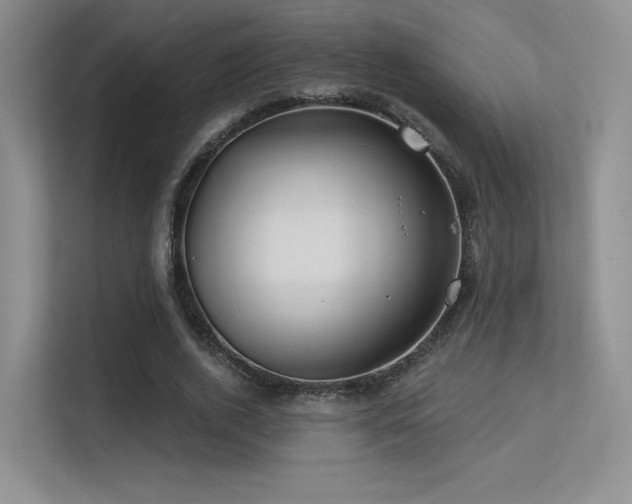 X0000113300728200909141246