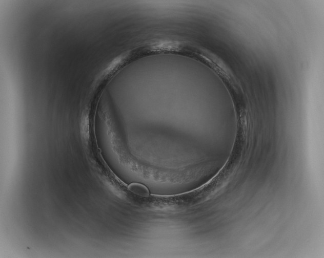 X0000113300729200909141246