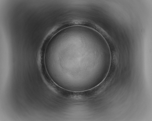 X0000113300730200909141246