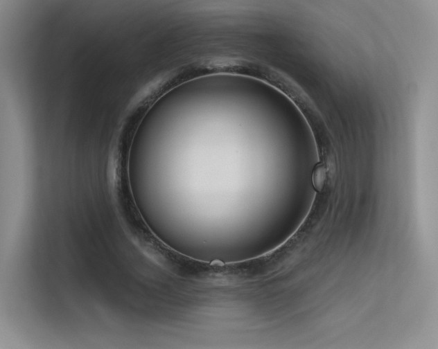X0000113300732200909141246