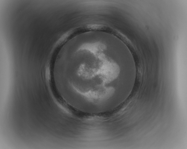 X0000113300734200909141246