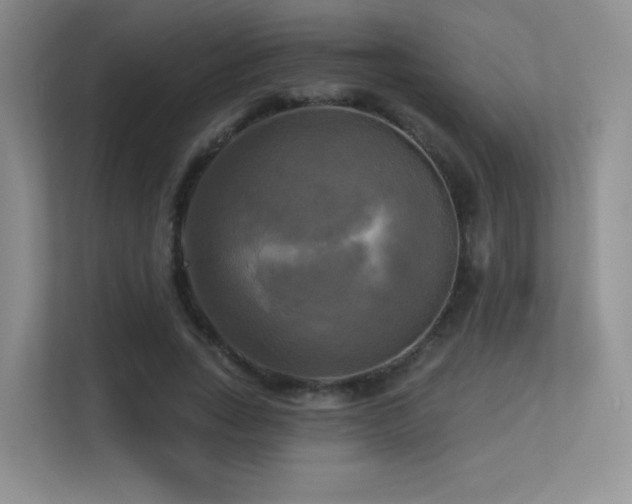 X0000113300735200909141246
