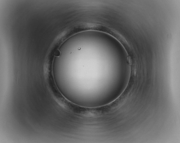 X0000113300736200909141246