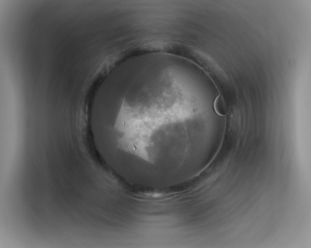 X0000113300739200909141246
