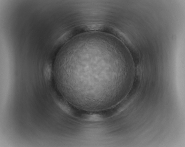X0000113300741200909141246