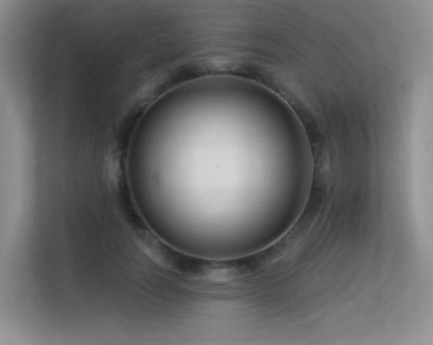 X0000113300746200909141247