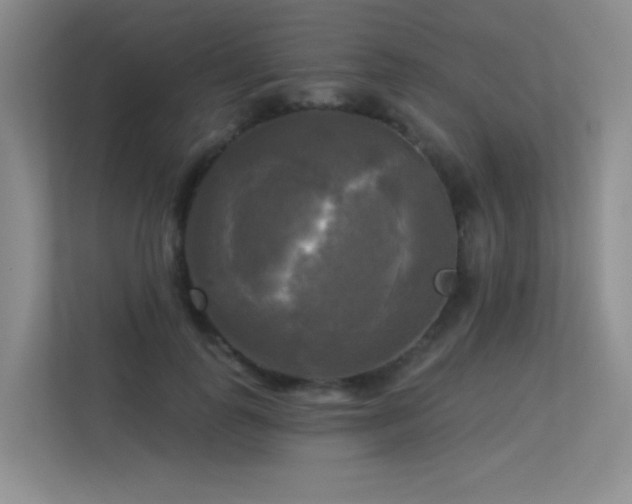 X0000113300747200909141247