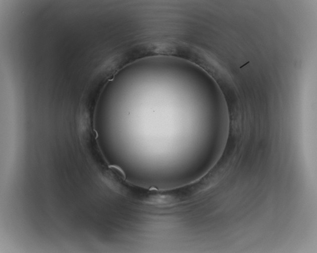 X0000113300748200909141247
