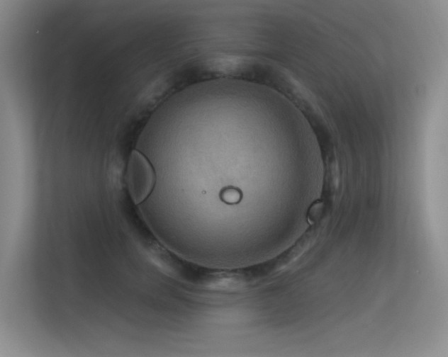 X0000113300750200909141247