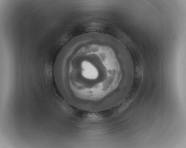 X0000113300753200909141247