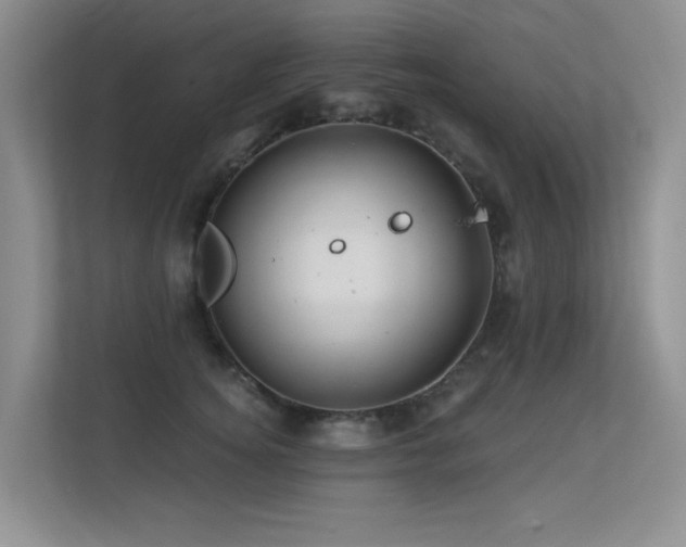 X0000113300756200909141247