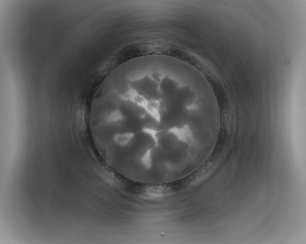 X0000113300757200909141247