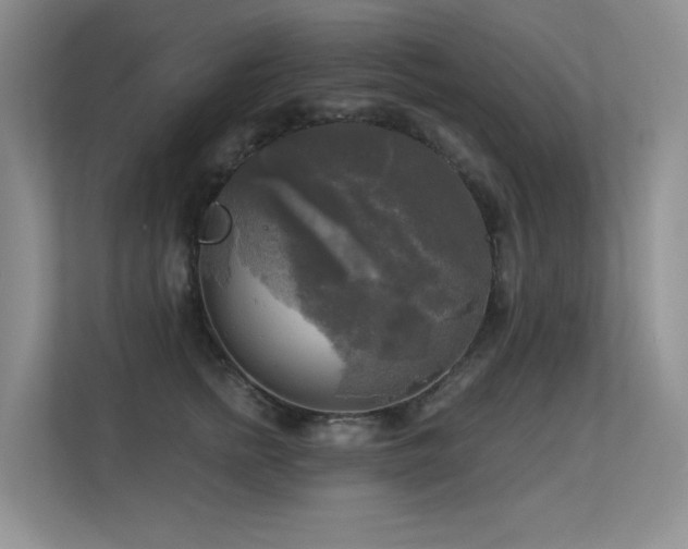 X0000113300758200909141247