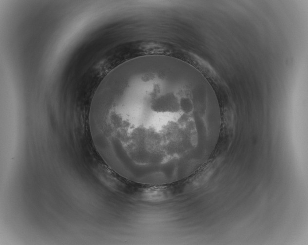 X0000113300761200909141247