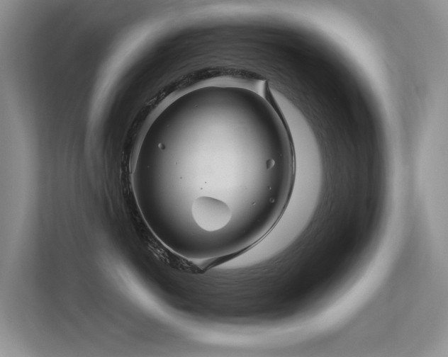 X0000113300766200909141247