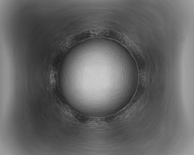 X0000113300770200909141246
