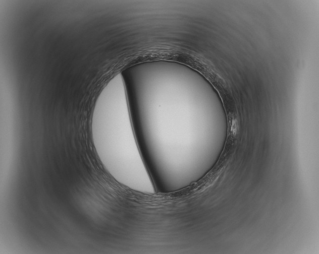 X0000113300771200909141246