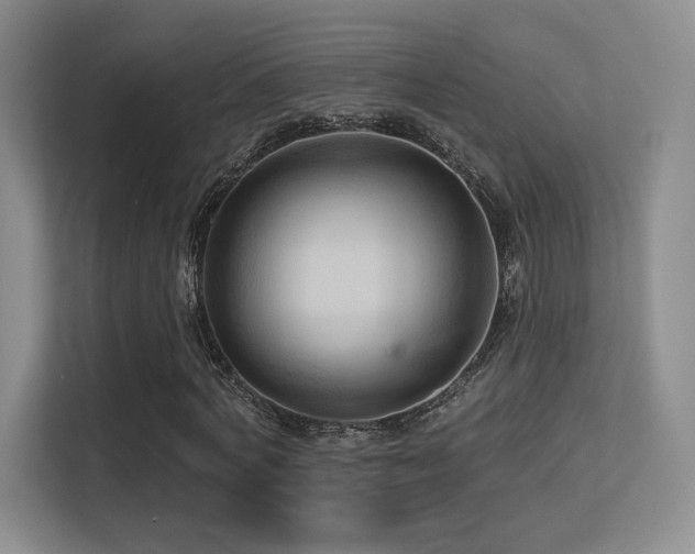 X0000113300772200909141246