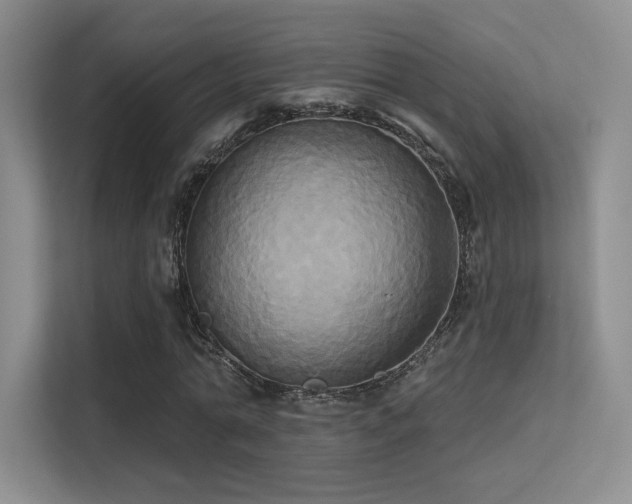 X0000113300774200909141246