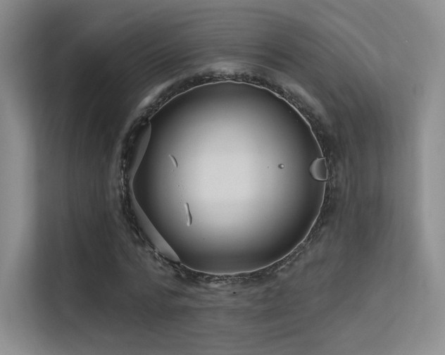 X0000113300776200909141246