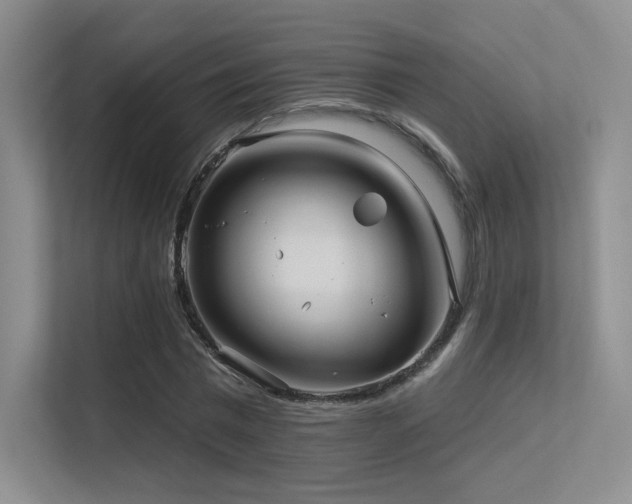 X0000113300777200909141246