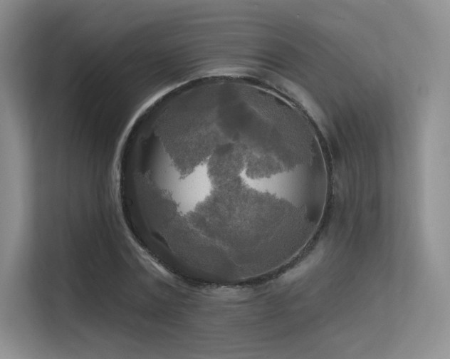 X0000113300779200909141246