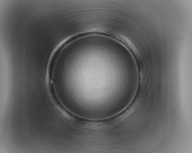 X0000113300780200909141246
