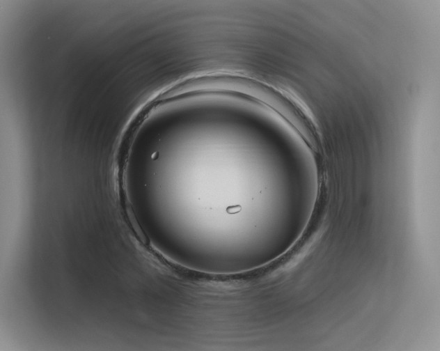 X0000113300781200909141246