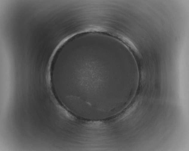 X0000113300784200909141246