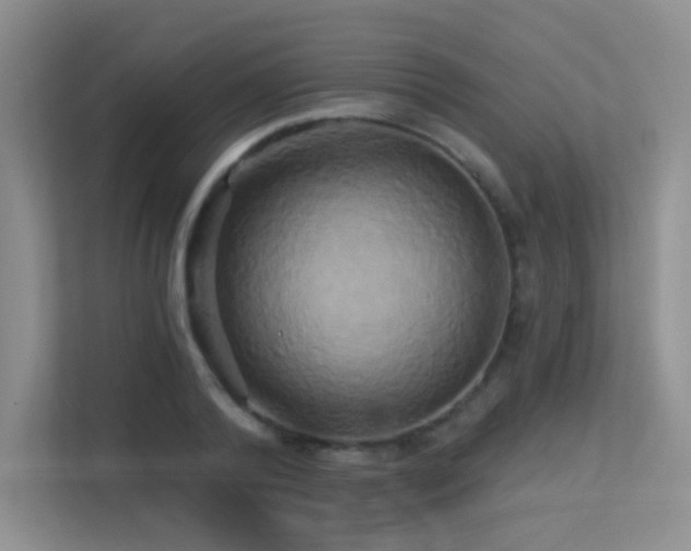 X0000113300792200909141246