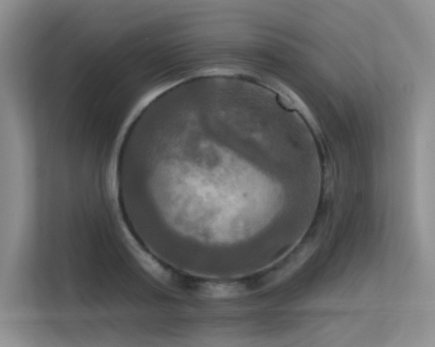 X0000113300795200909141246