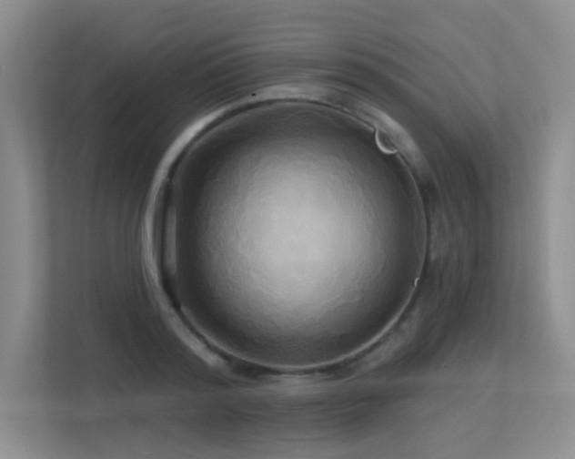 X0000113300796200909141246