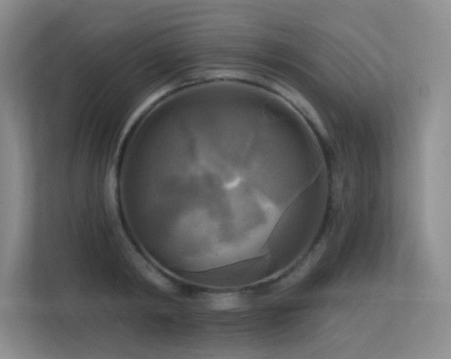 X0000113300798200909141246