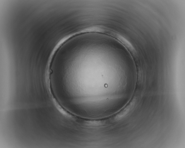 X0000113300800200909141246