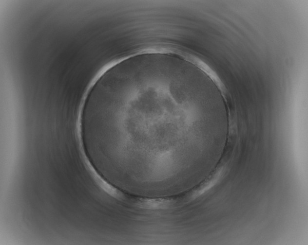 X0000113300803200909141246