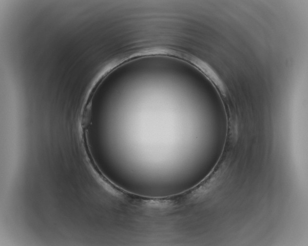 X0000113300805200909141246