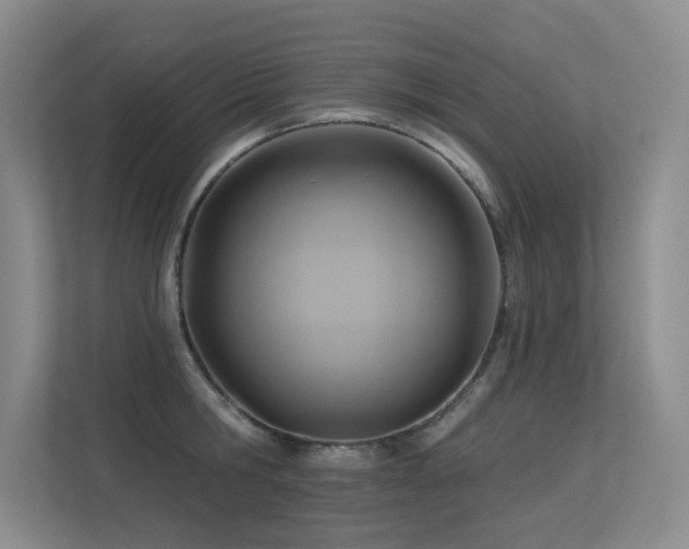 X0000113300806200909141246