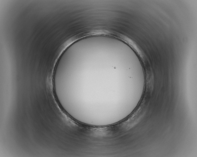 X0000113300810200909141246