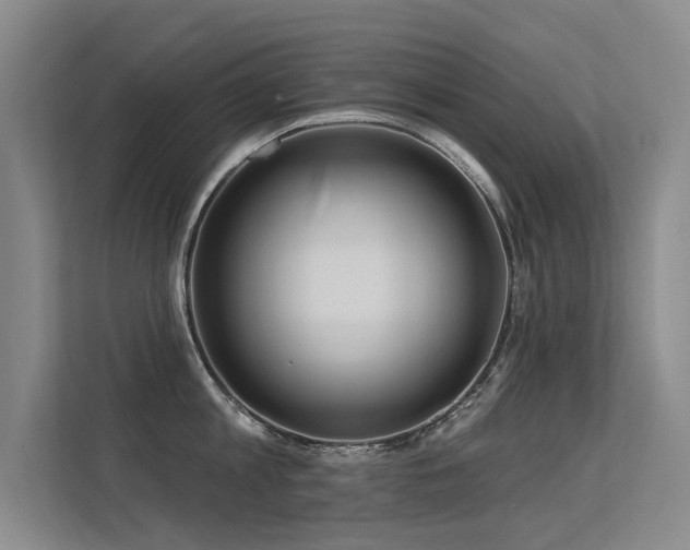 X0000113300813200909141246