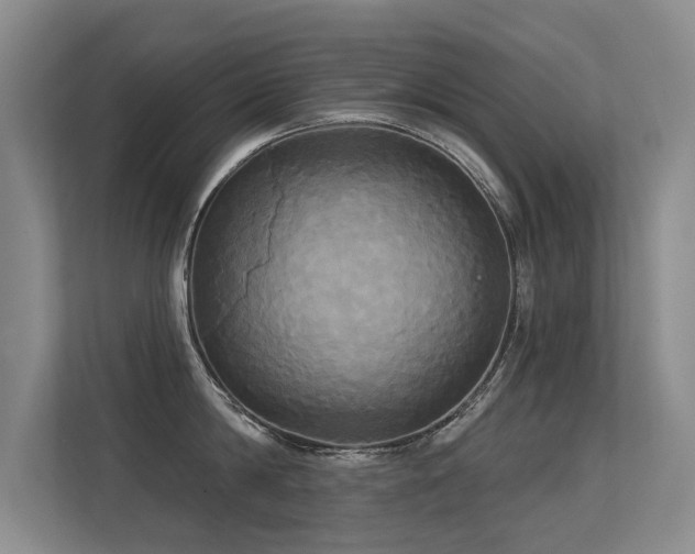 X0000113300814200909141246