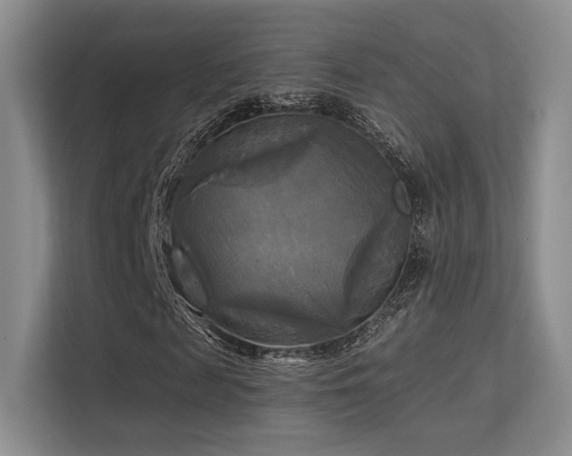 X0000113300817200909141245