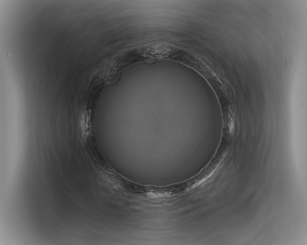 X0000113300818200909141245