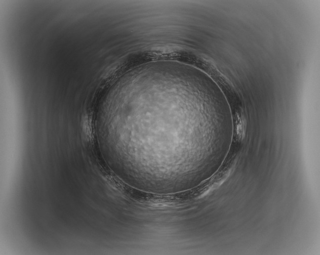 X0000113300819200909141245