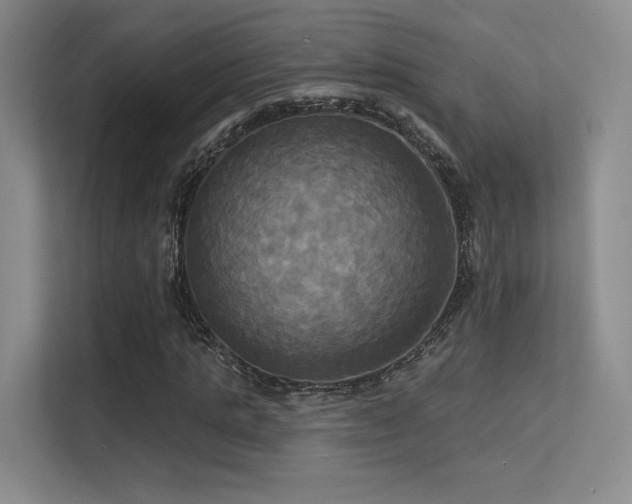 X0000113300821200909141245