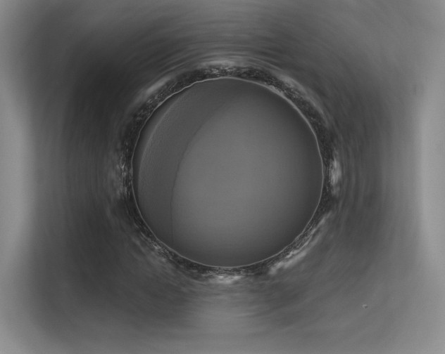 X0000113300822200909141245