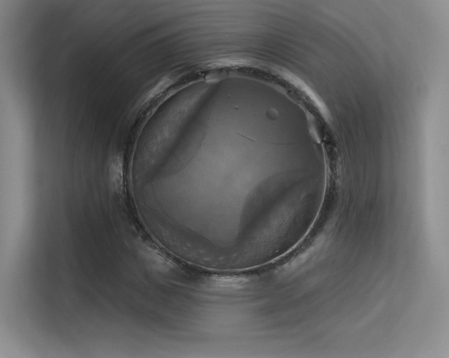 X0000113300825200909141245
