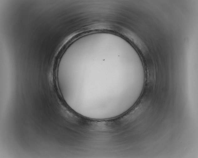 X0000113300828200909141245