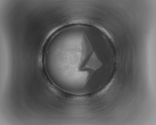 X0000113300830200909141245