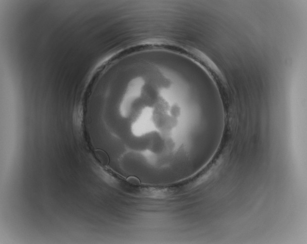 X0000113300831200909141245