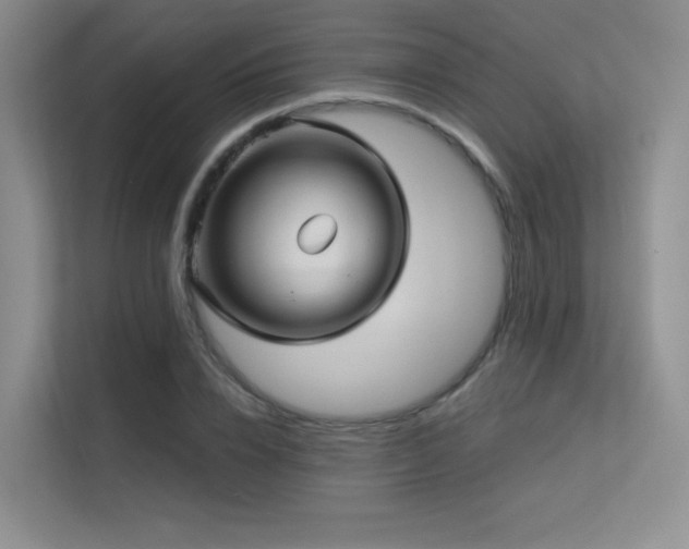 X0000113300832200909141245